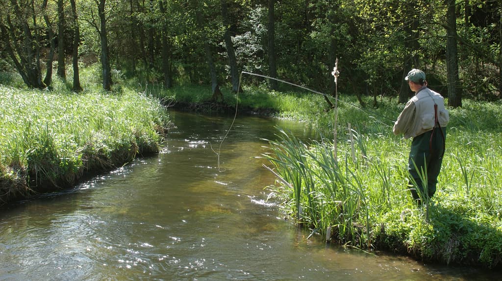 Fiskbæk Stream near Viborg