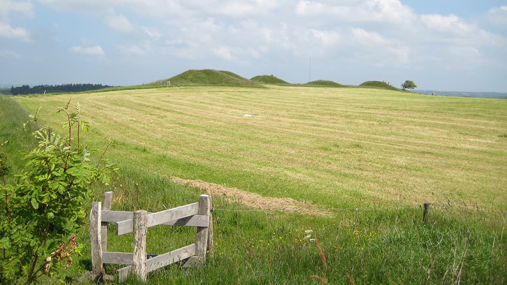 Frendrup Nihøje