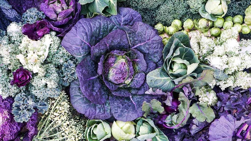ubat veggie