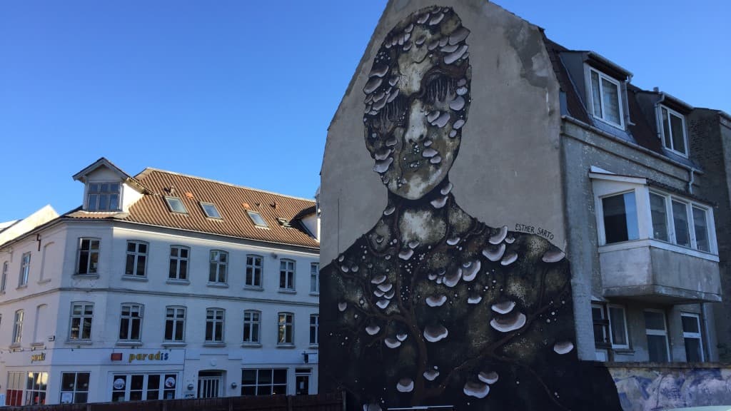 Street art - Esther Sarto - Reberbansgade 29
