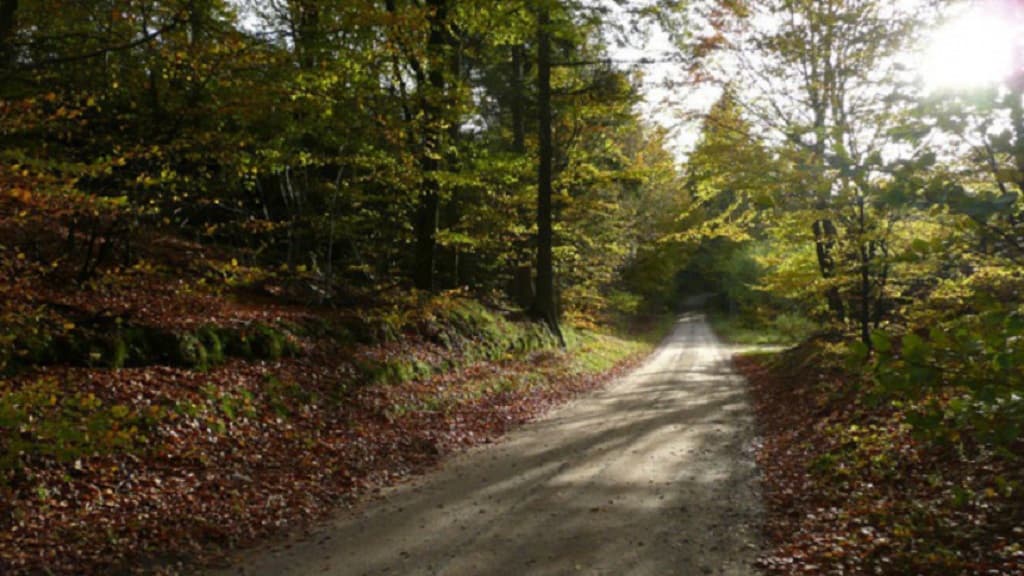Protected area: Grevsmosen, Slettingen, Fejborg Bakke and Bollebakken