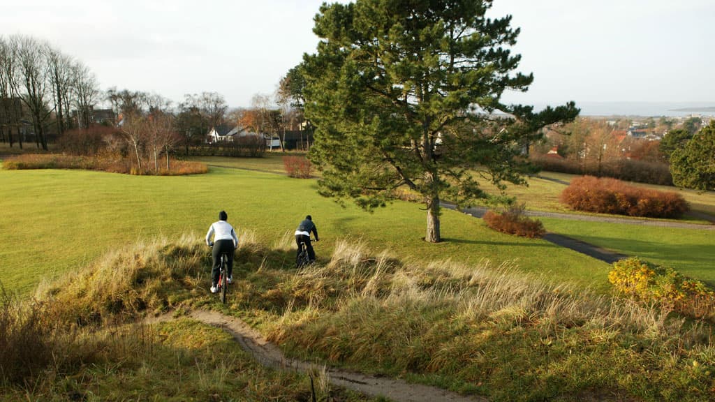 Mølle Park - the Mill Park