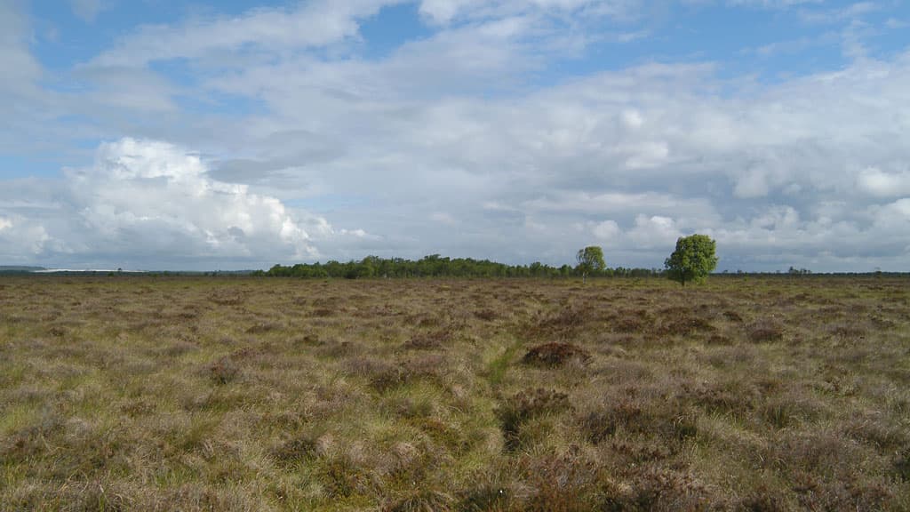 The Moors of Himmerland