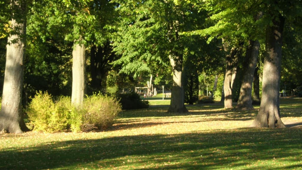 Bundgårdspark in Aalborg