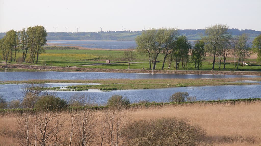 Halkær Lake