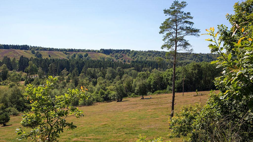 DCU Camping Hesselhus