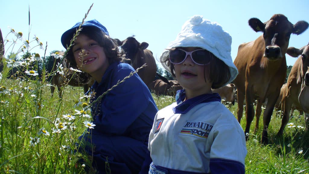 Gyvelborg Visitor Farm and Camping - Farm holiday