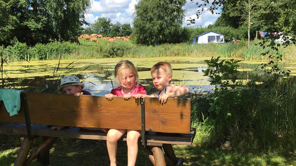 Gyvelborg Visitor Farm and Camping - Farm holiday