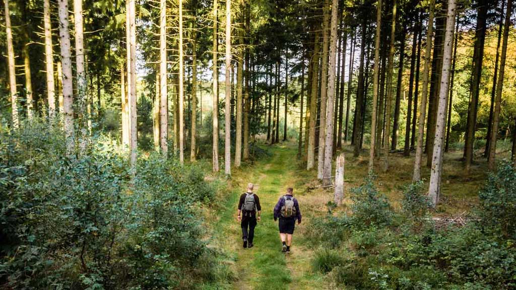 Hærvejen (Army trail)